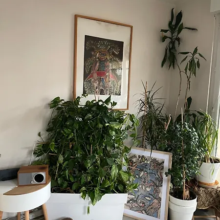 Joli 2p Terrasse A Ouen Touchant Paris, Confort Free Wifi サン・トゥアン